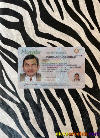USA Florida driving license 2018-present photolook